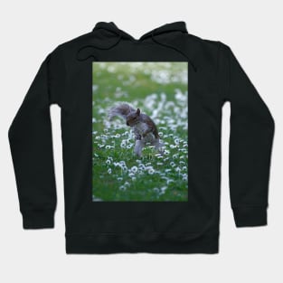 Which flower do you want? Hoodie